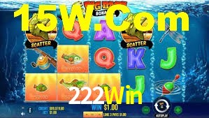 Premium Interface 222Win
