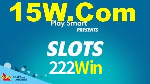 Programa VIP 222Win